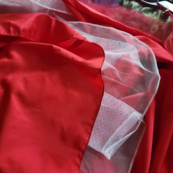 Red Rodeo Queen Dress - Picture 4 of 4